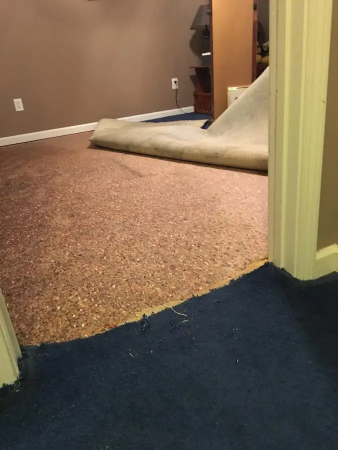 Carpet pad removal revealing water damage during Drying & Dehumidification in Dexter