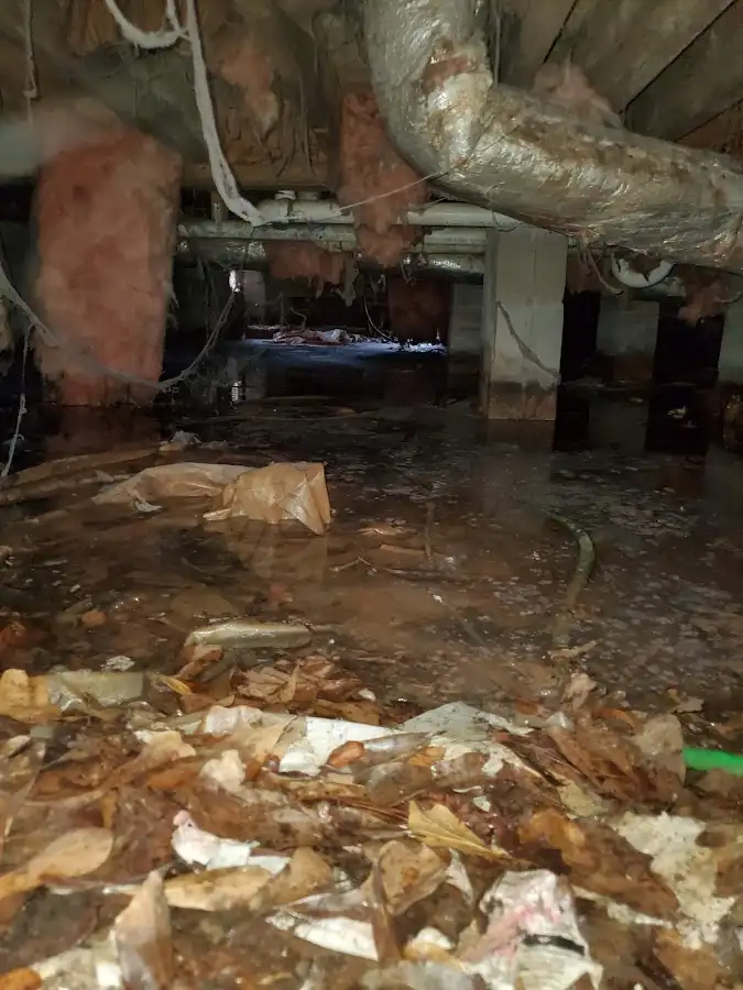 Crawl space flood assessment for Commercial Water Damage Restoration in Dexter
